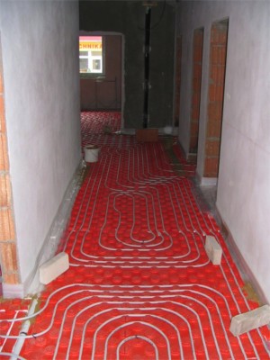 RD Bzenec-lité potěry (2)